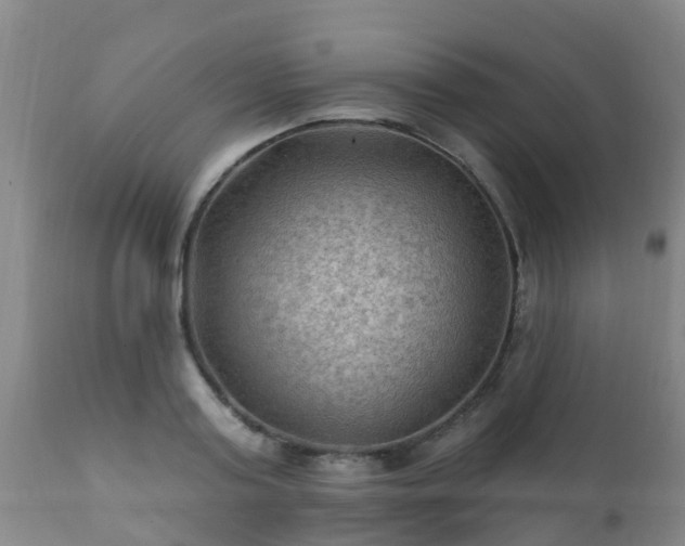 X0000112420795200908211145