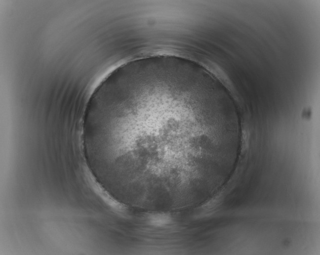 X0000112420798200908211145