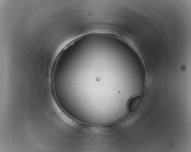 X0000112420803200908211144