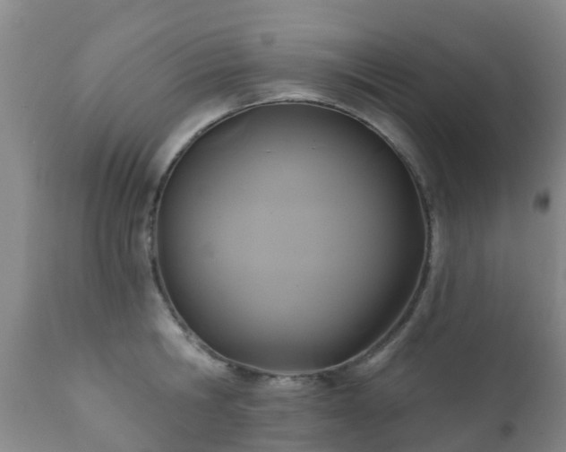 X0000112420806200908211144