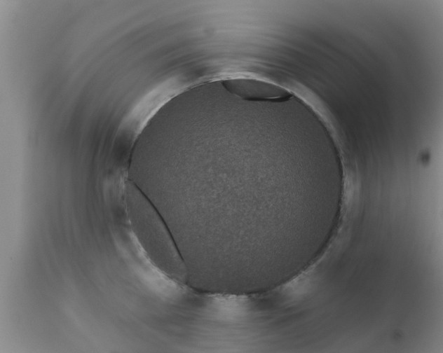 X0000112420809200908211144