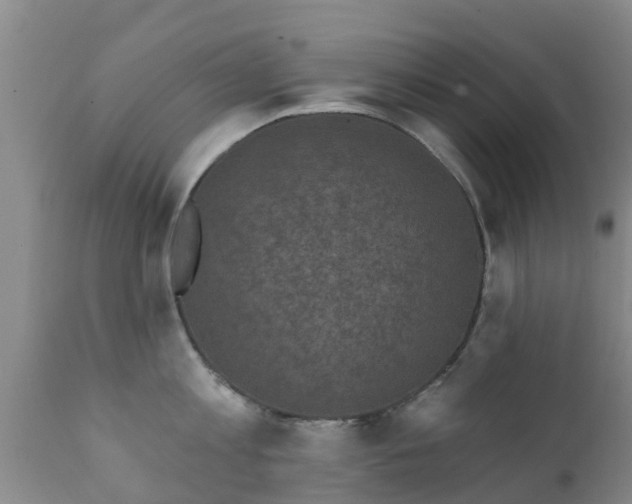 X0000112420813200908211144