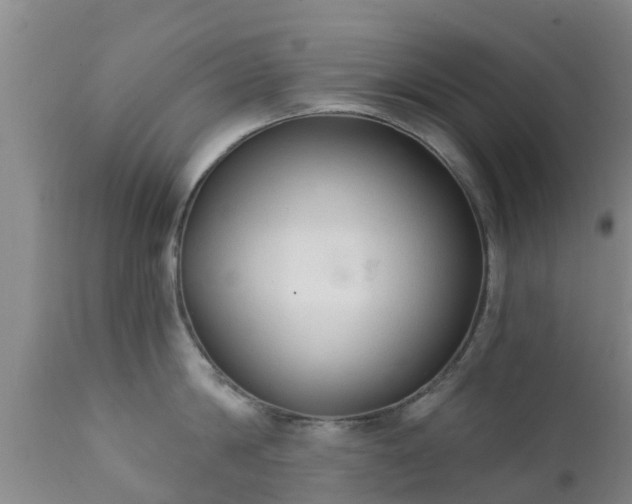 X0000112420814200908211144