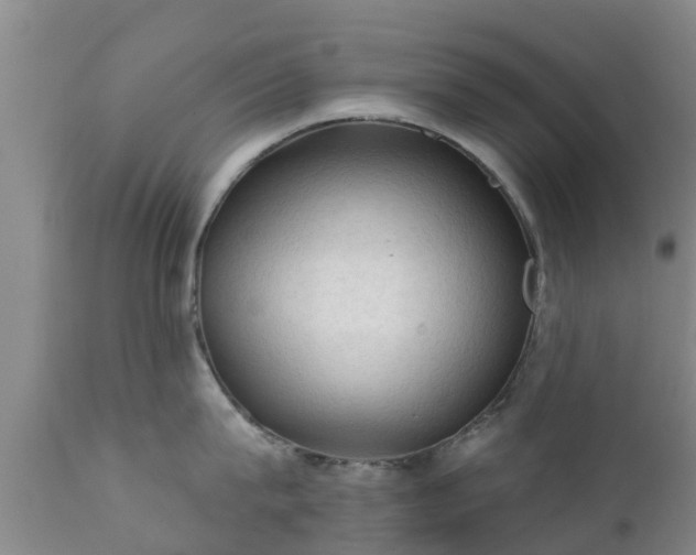 X0000112420815200908211144