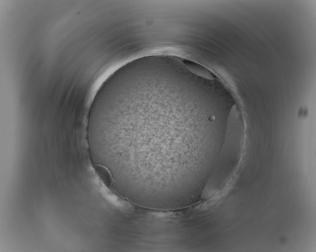 X0000112420816200908211144