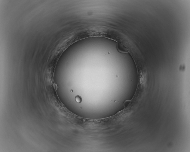 X0000112420819200908211144