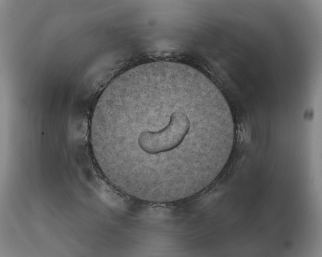 X0000112420820200908211144