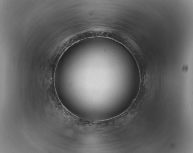 X0000112420821200908211144