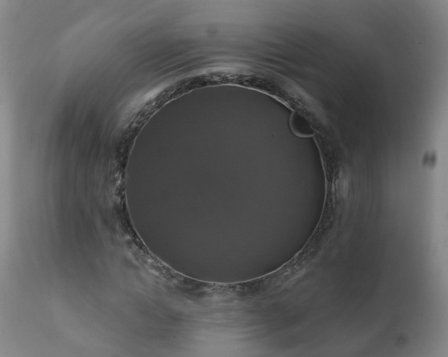 X0000112420822200908211144