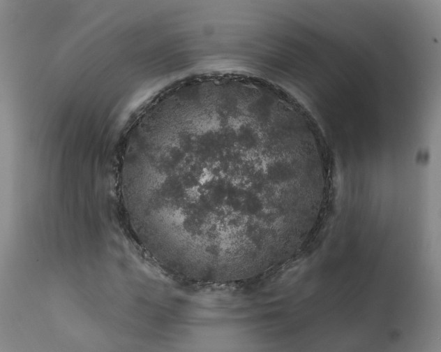 X0000112420823200908211144