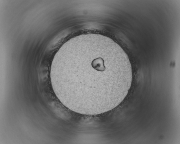 X0000112420824200908211144