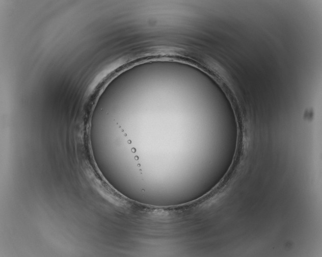 X0000112420827200908211144