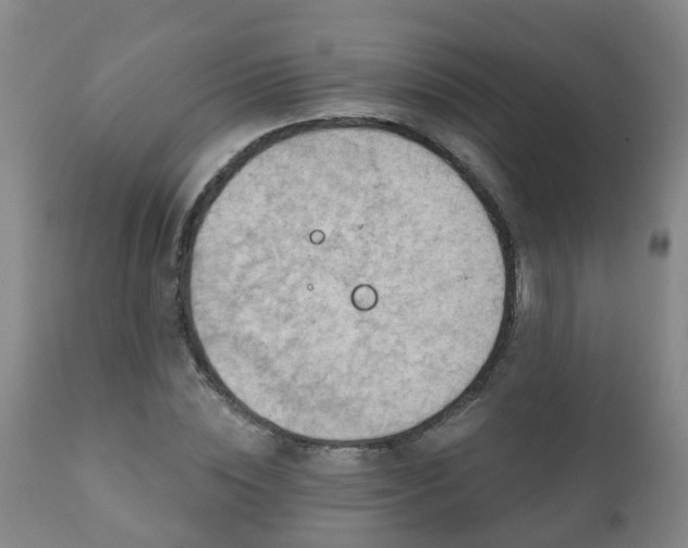 X0000112420828200908211144