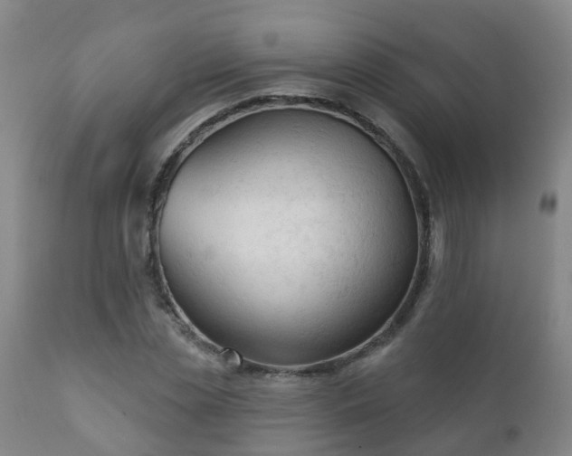 X0000112420829200908211144