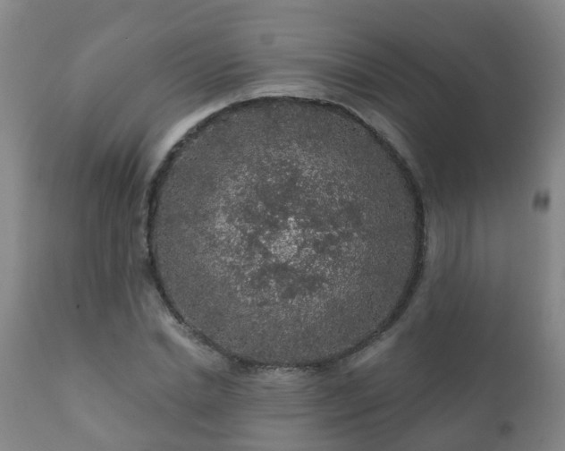 X0000112420830200908211144