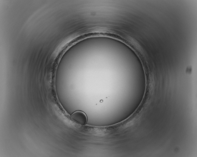 X0000112420831200908211144