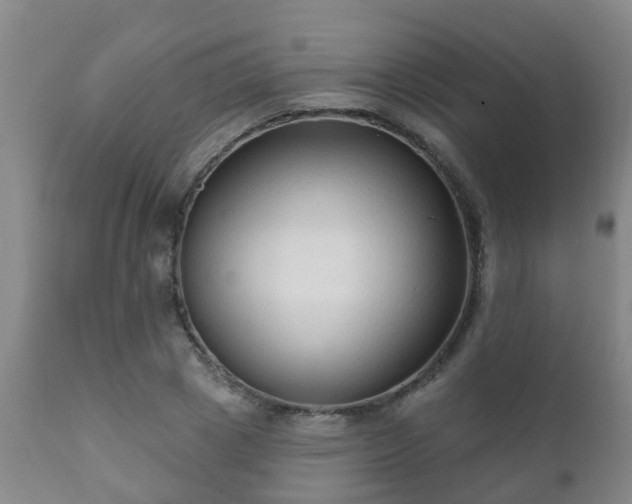 X0000112420833200908211144