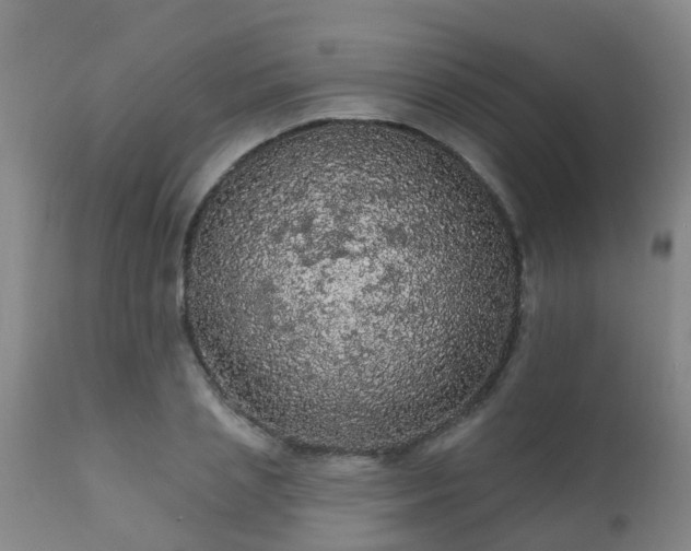 X0000112420837200908211144