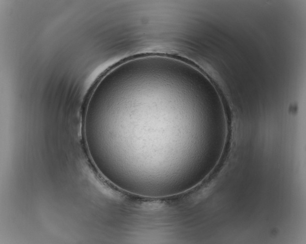 X0000112420838200908211144