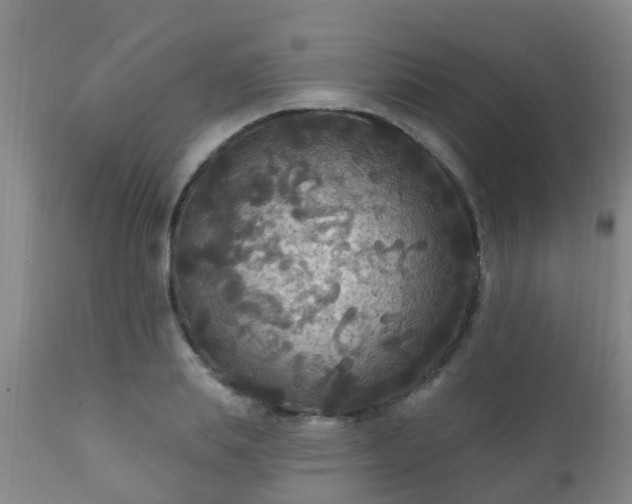 X0000112420839200908211144