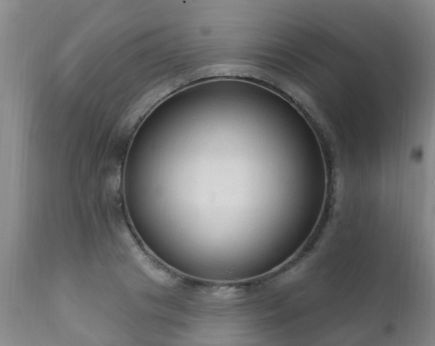 X0000112420841200908211144