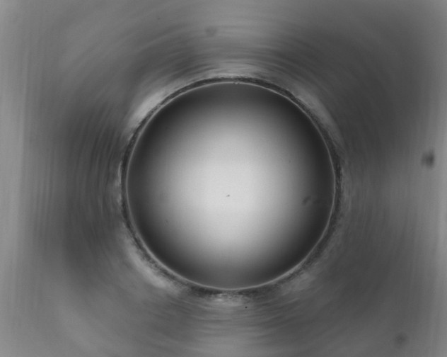 X0000112420842200908211144