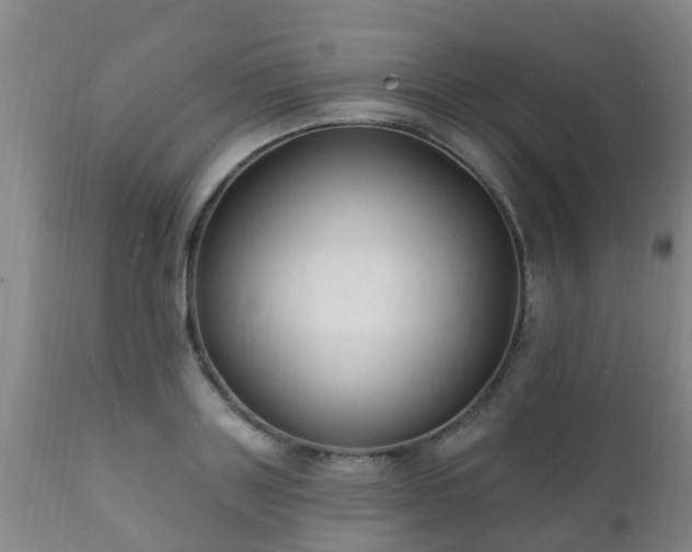 X0000112420843200908211144