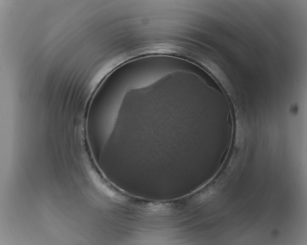 X0000112420850200908211144