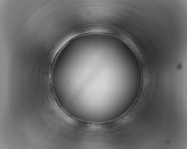 X0000112420852200908211144