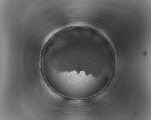 X0000112420853200908211144