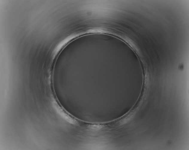 X0000112420854200908211144