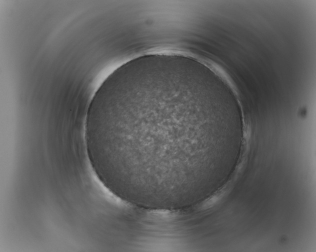 X0000112420855200908211144