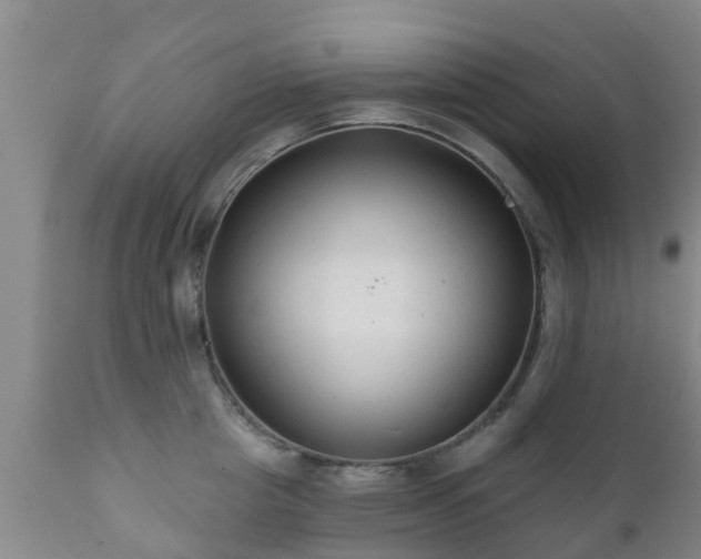 X0000112420857200908211144