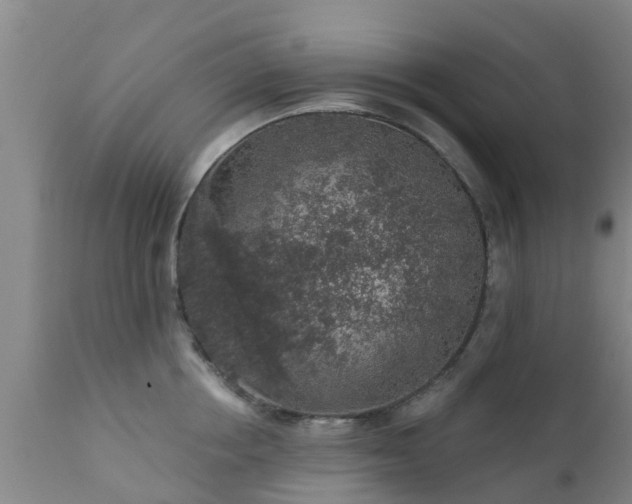 X0000112420858200908211144