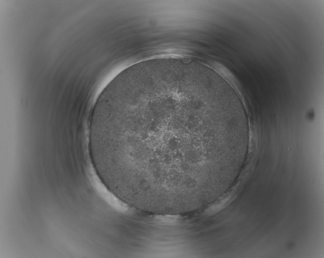 X0000112420859200908211144