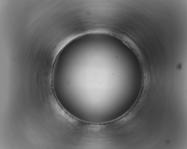 X0000112420860200908211144