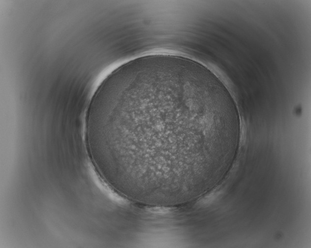 X0000112420862200908211144