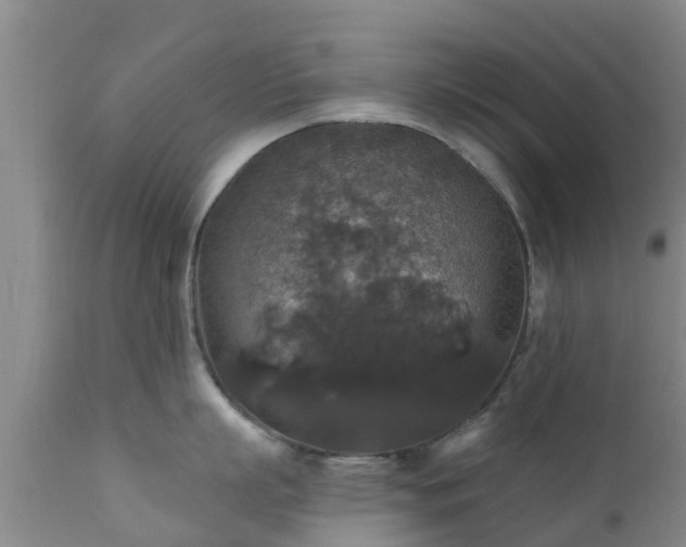 X0000112420863200908211144