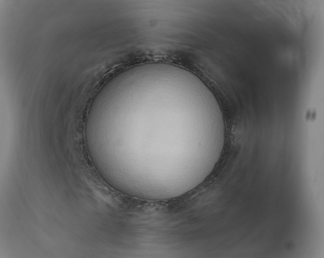 X0000112420865200908211144