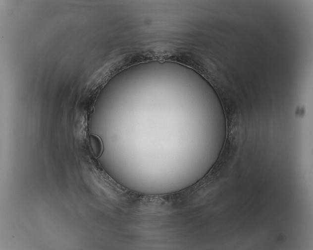 X0000112420866200908211144