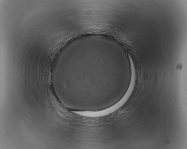 X0000112420868200908211143