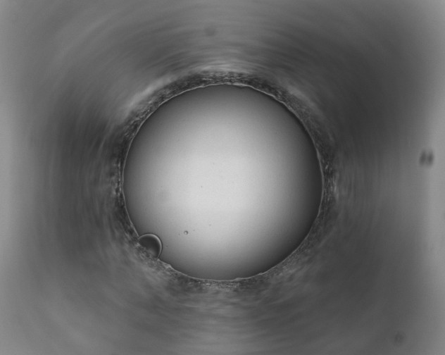 X0000112420870200908211143