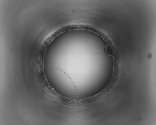 X0000112420871200908211143