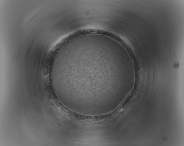 X0000112420872200908211143