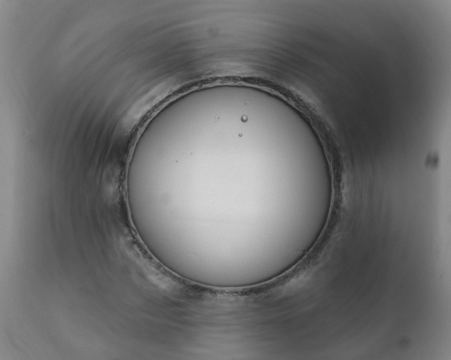 X0000112420873200908211143