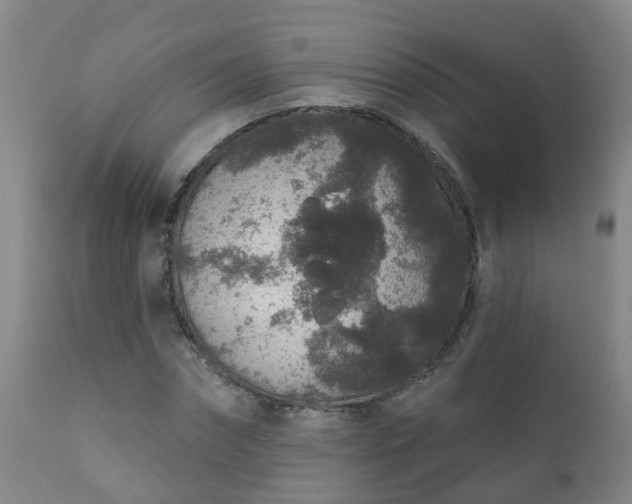 X0000112420874200908211143