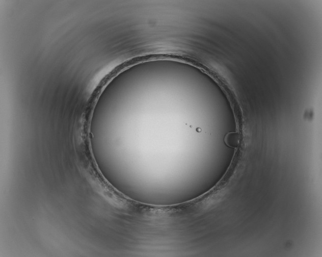 X0000112420875200908211143