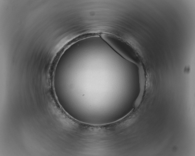 X0000112420876200908211143