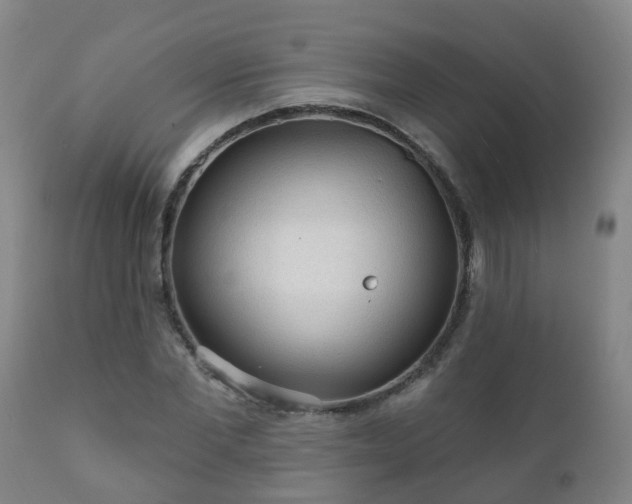 X0000112420877200908211143