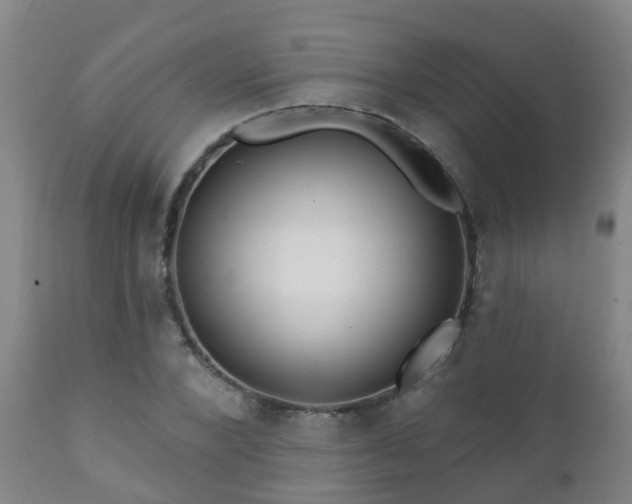 X0000112420880200908211143